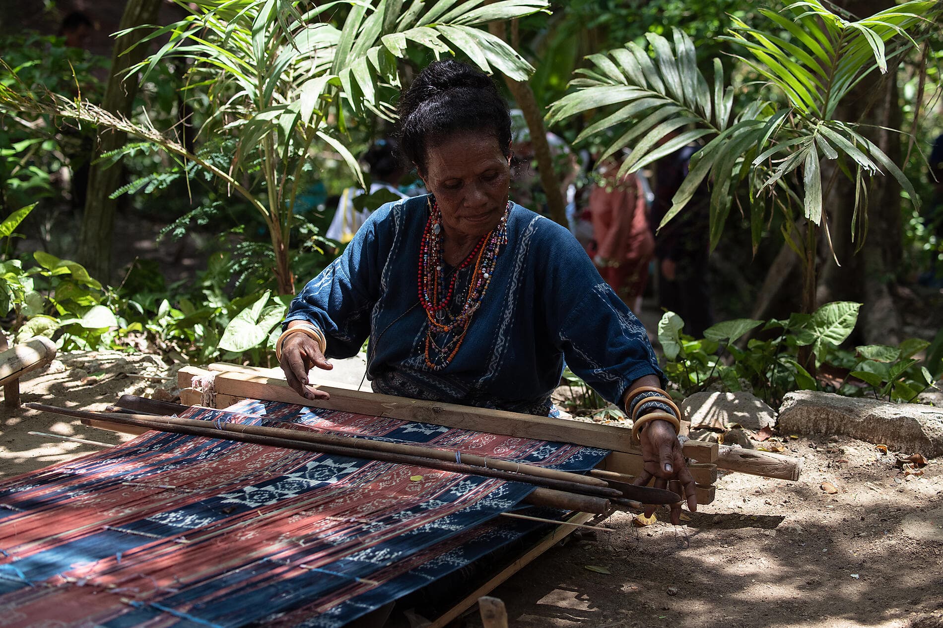 Tropical Odyssey between Indonesia and North East Australia 