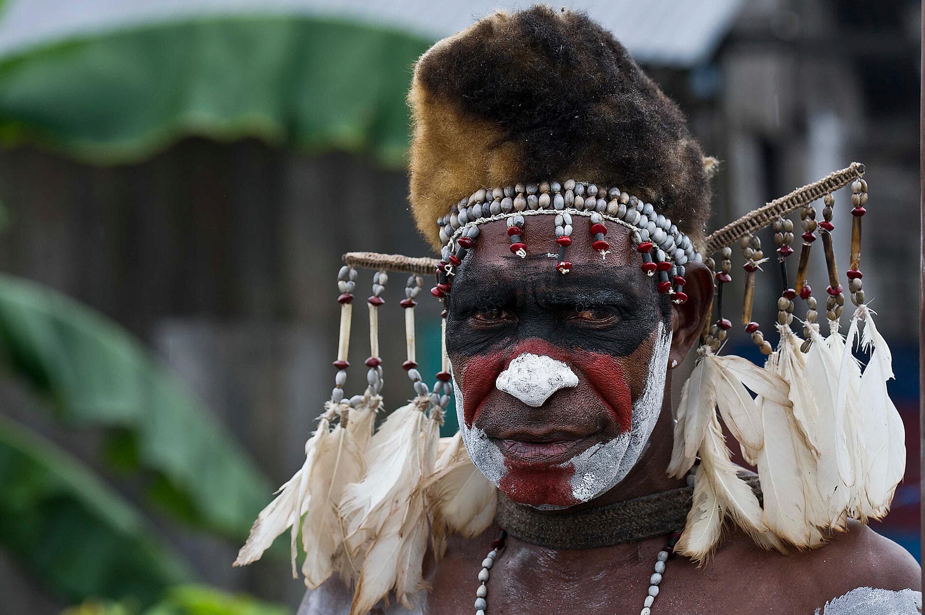 Tropical Odyssey between Indonesia and North East Australia 