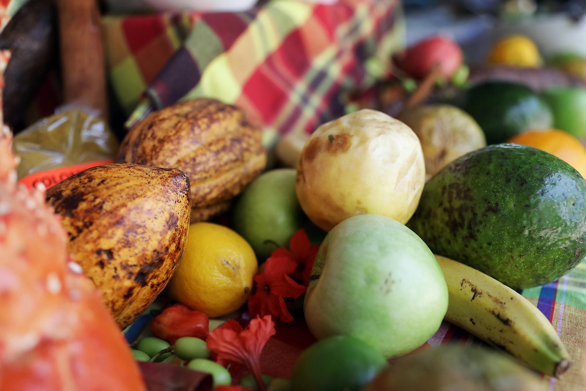 Wonders of the Caribbean 