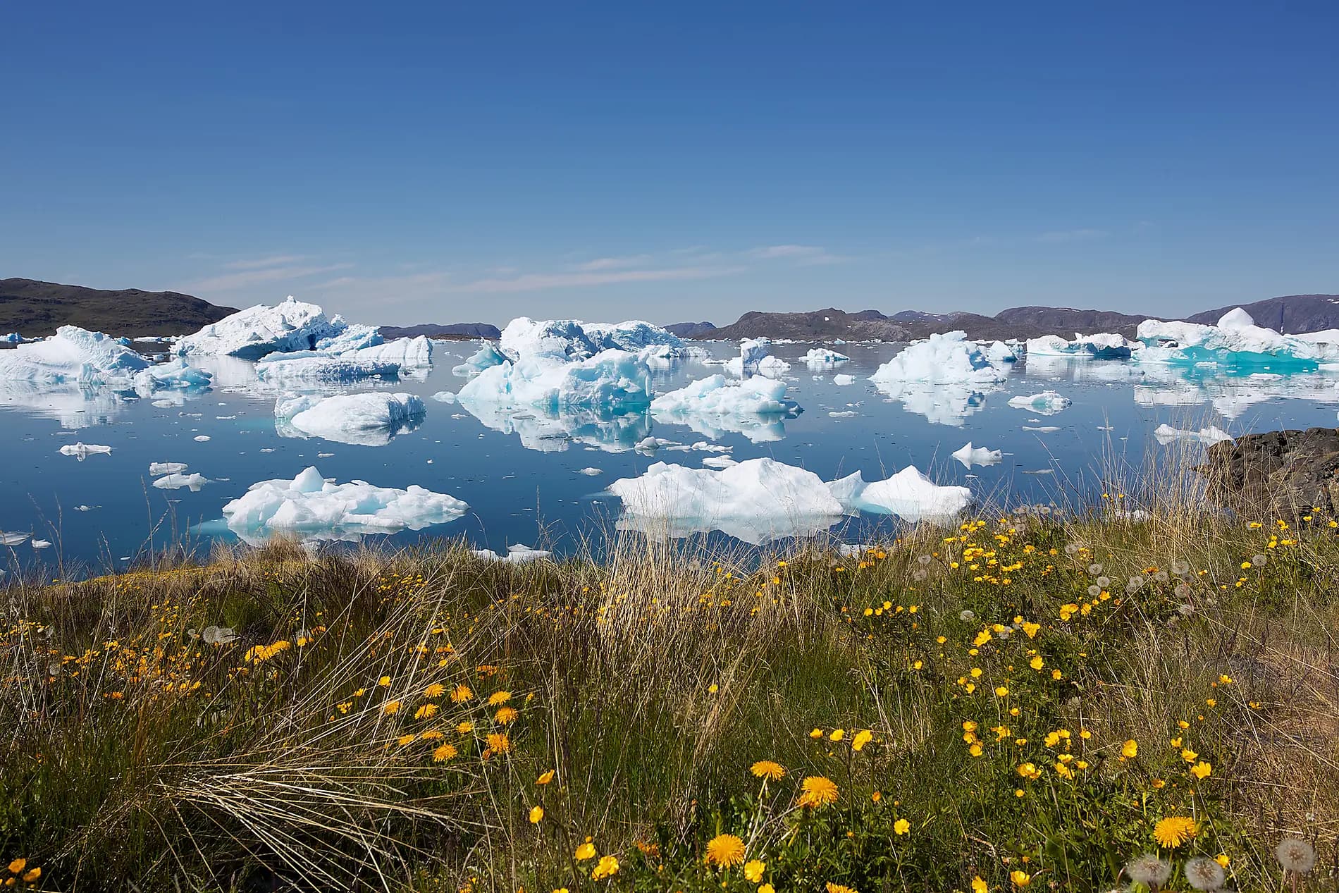 Expedition to the edge of the Ice Sheet 