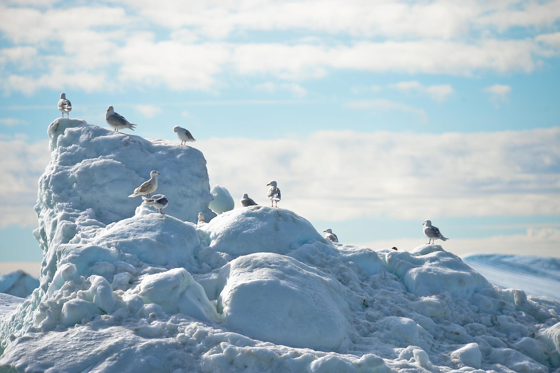 Arctic Spring: A Journey Through Ice and Inuit Culture 