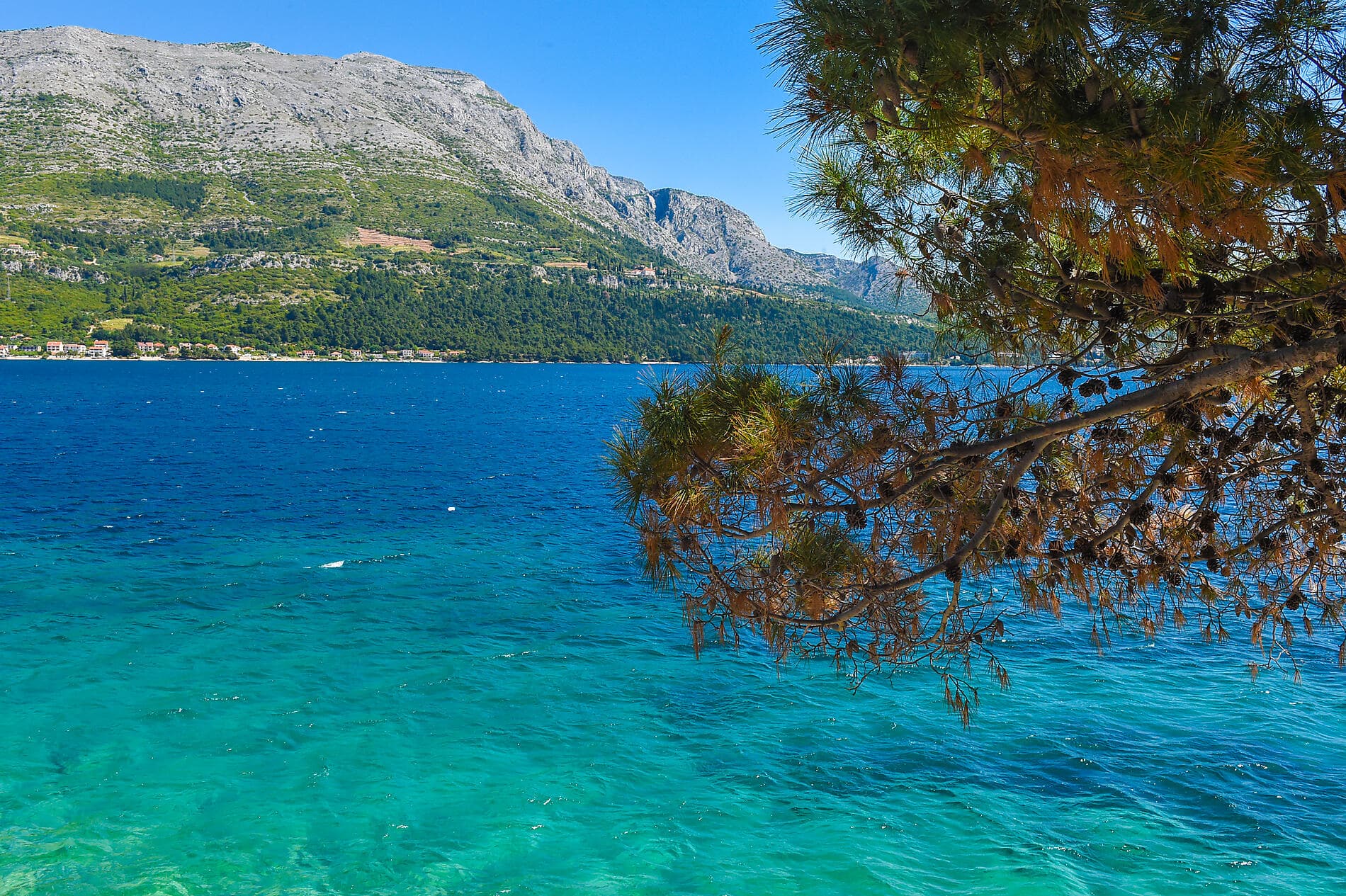 Croatia's Dalmatian Coast by Sea – with Smithsonian Journeys 