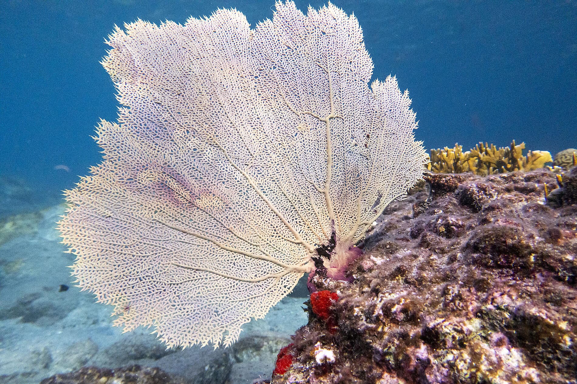 History and culture visiting Caribbean jewels 