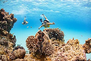 BBQ on Motu & snorkelling