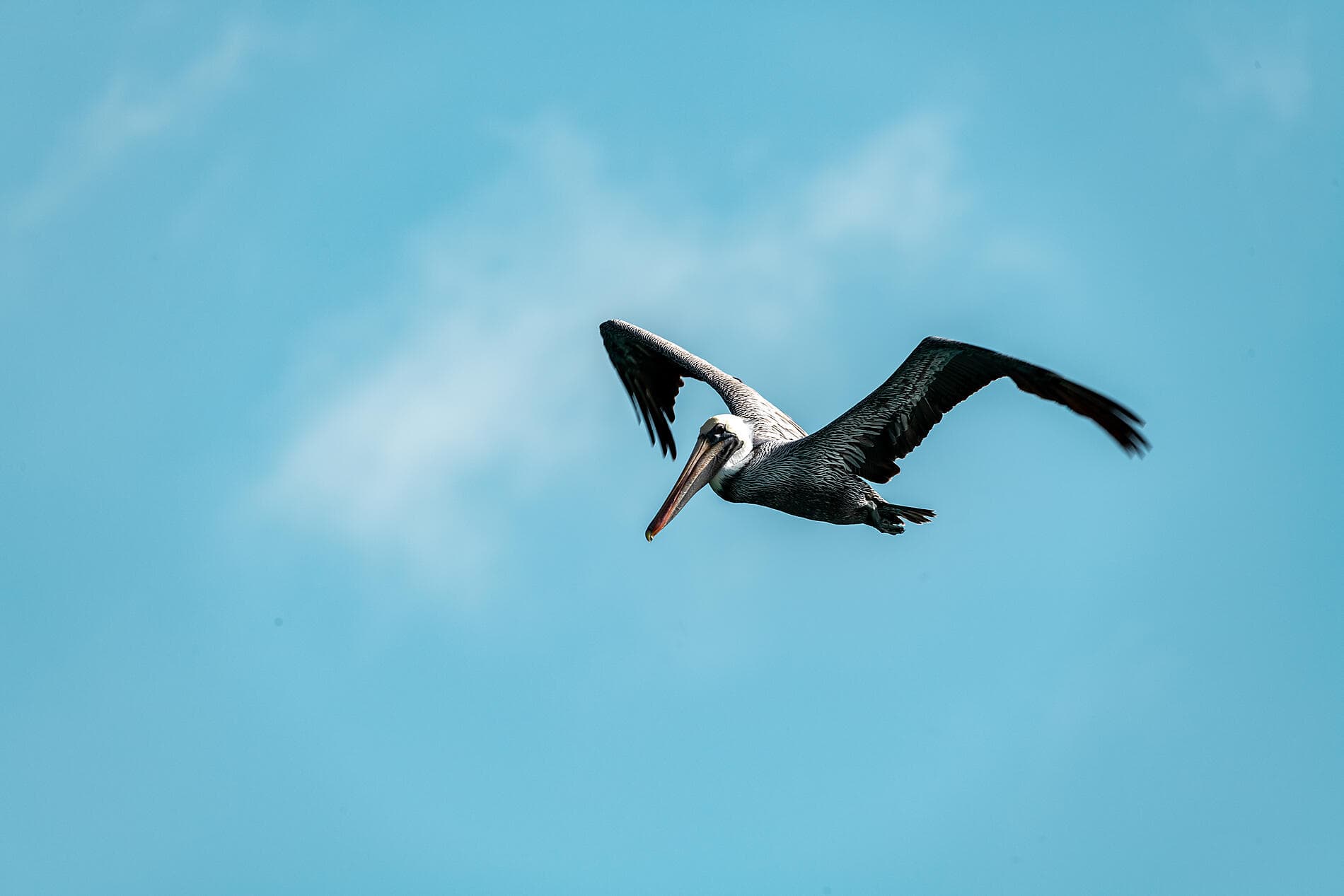 Gliding the Waters of the Windward Islands