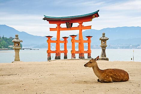 13 May 26 - Miyajima Island