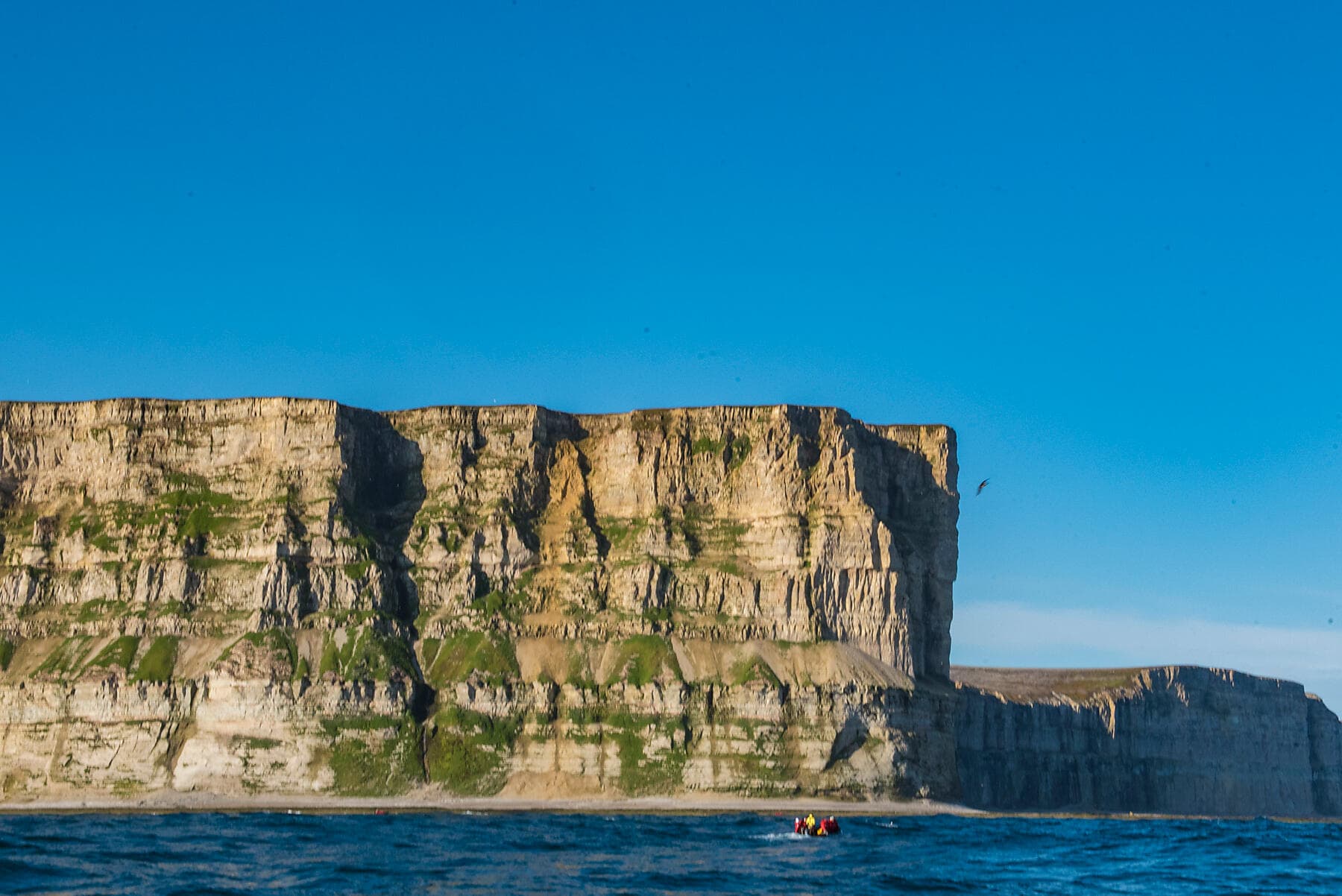 Wilderness from Greenland to the East Coast of Canada